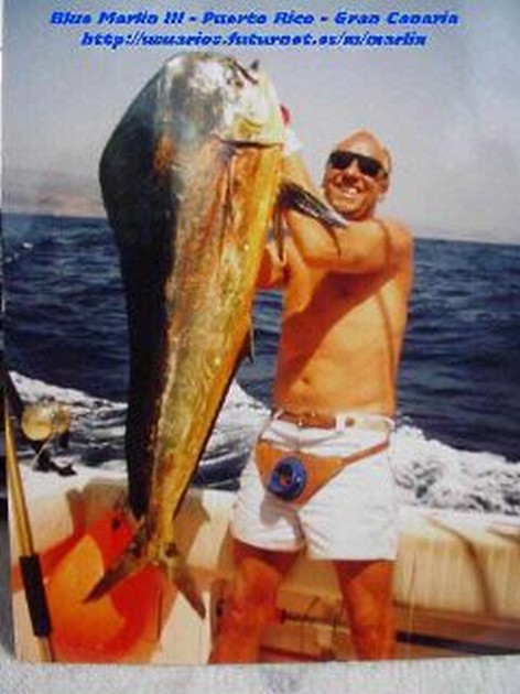 dorado Cavalier & Blue Marlin Sport Fishing Gran Canaria
