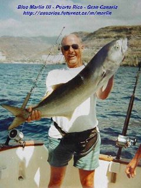 kingfish Cavalier & Blue Marlin Sport Fishing Gran Canaria