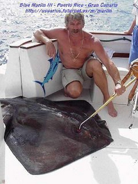 common stingray Cavalier & Blue Marlin Sport Fishing Gran Canaria