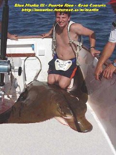 eagle ray Cavalier & Blue Marlin Sport Fishing Gran Canaria