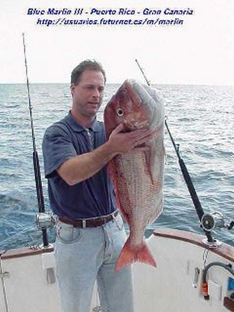red snapper Cavalier & Blue Marlin Sport Fishing Gran Canaria