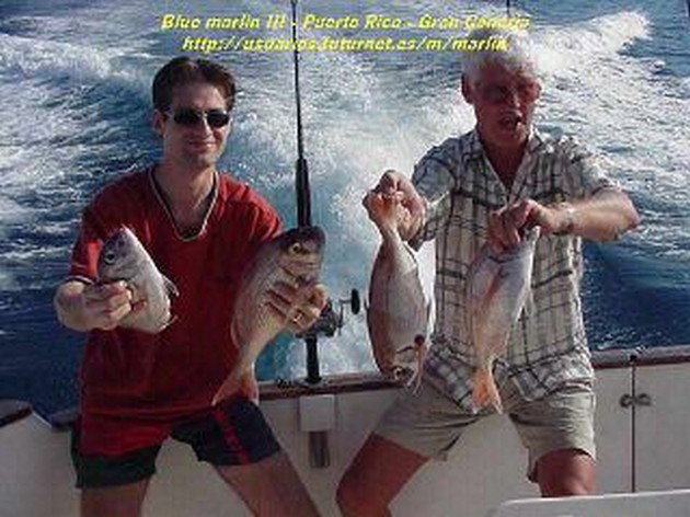 seabream Cavalier & Blue Marlin Sport Fishing Gran Canaria
