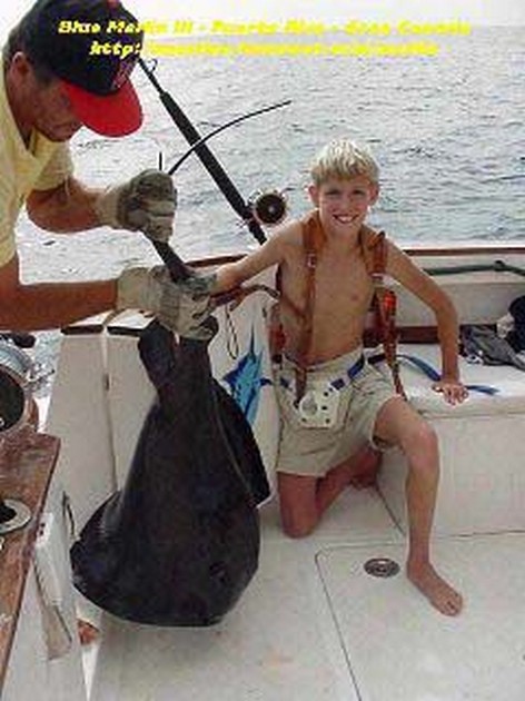 black stingray Cavalier & Blue Marlin Sport Fishing Gran Canaria