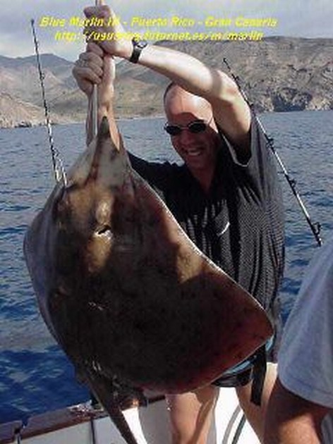 thornback ray Cavalier & Blue Marlin Sport Fishing Gran Canaria