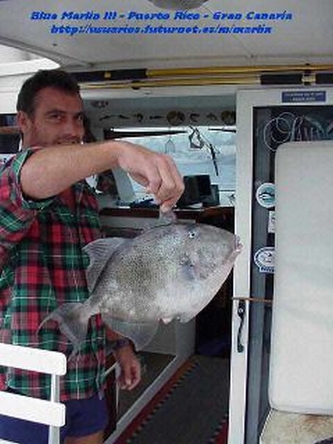 triggerfish Cavalier & Blue Marlin Sport Fishing Gran Canaria