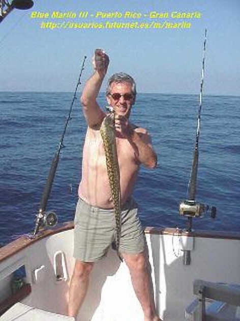 moray eel Cavalier & Blue Marlin Sport Fishing Gran Canaria