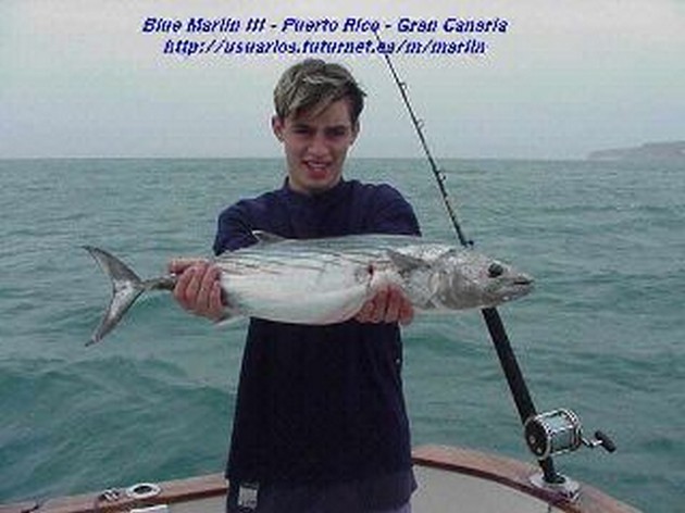 north atlantic bonito Cavalier & Blue Marlin Sport Fishing Gran Canaria