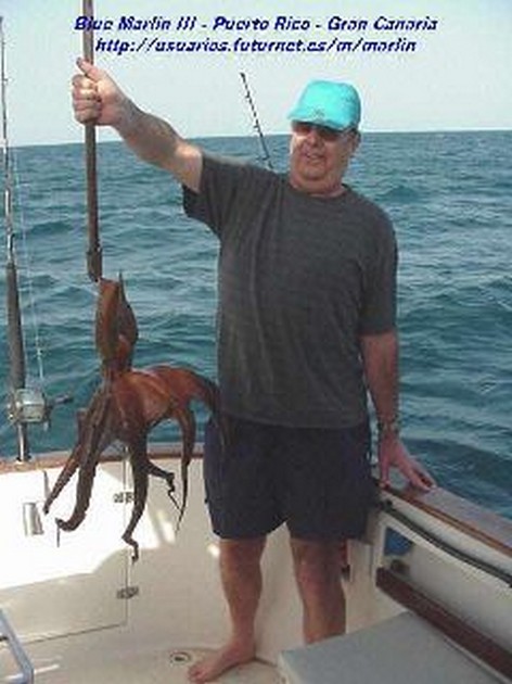 octopus Cavalier & Blue Marlin Sport Fishing Gran Canaria