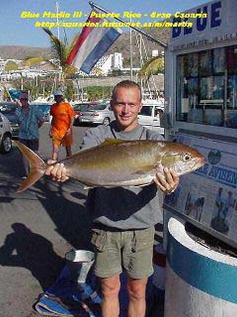 kingfish Cavalier & Blue Marlin Sport Fishing Gran Canaria