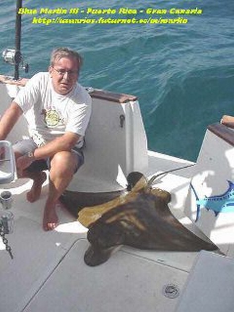 duckbill ray Cavalier & Blue Marlin Sport Fishing Gran Canaria