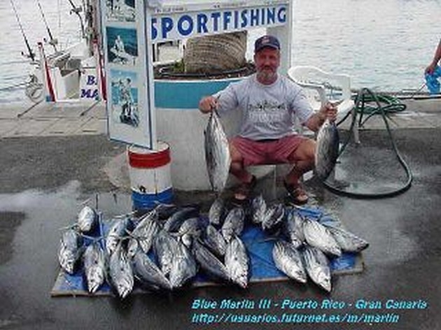 skipjack tuna Cavalier & Blue Marlin Sport Fishing Gran Canaria