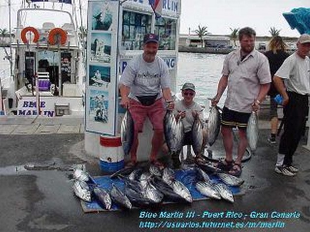 skipjack tuna Cavalier & Blue Marlin Sport Fishing Gran Canaria