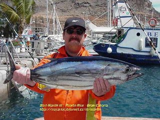 skipjack tuna Cavalier & Blue Marlin Sport Fishing Gran Canaria