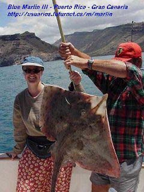 blonde ray Cavalier & Blue Marlin Sport Fishing Gran Canaria