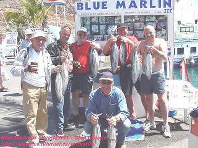 skipjack tuna Cavalier & Blue Marlin Sport Fishing Gran Canaria