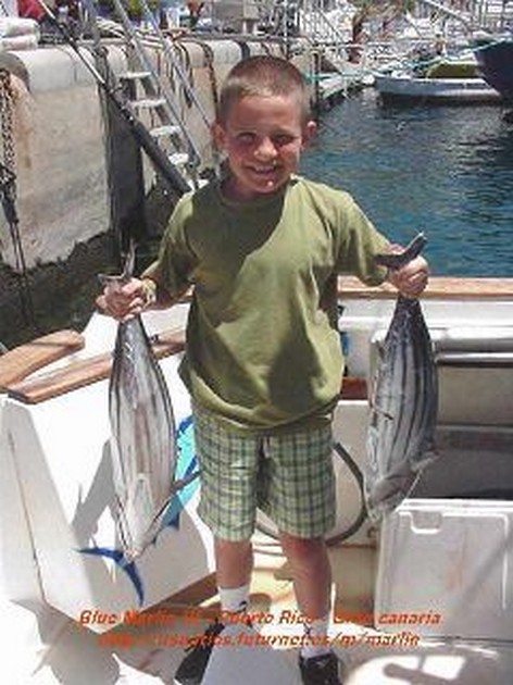 skipjack tuna Cavalier & Blue Marlin Sport Fishing Gran Canaria