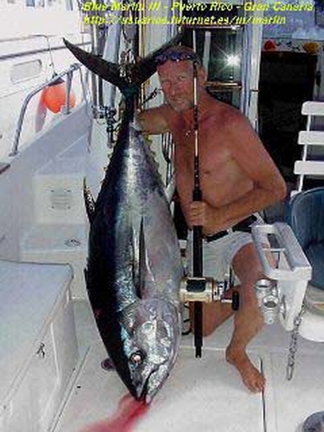 big eye tuna Cavalier & Blue Marlin Sport Fishing Gran Canaria