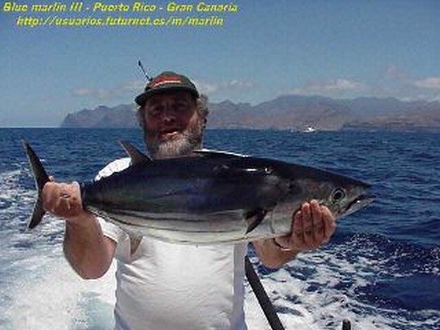 skipjack tuna Cavalier & Blue Marlin Sport Fishing Gran Canaria