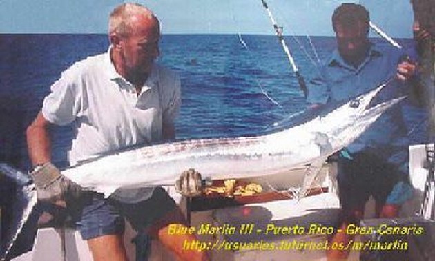 white marlin Cavalier & Blue Marlin Sport Fishing Gran Canaria