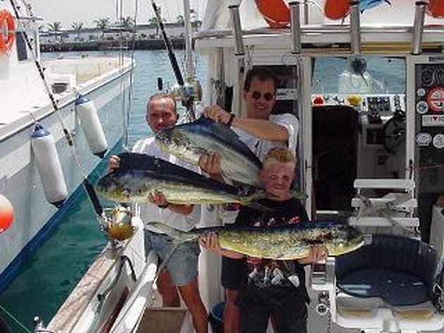 dorado Cavalier & Blue Marlin Sport Fishing Gran Canaria