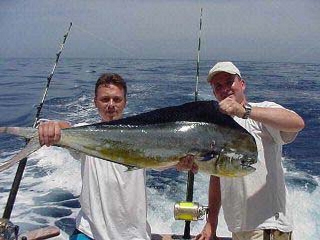 dorado Cavalier & Blue Marlin Sport Fishing Gran Canaria