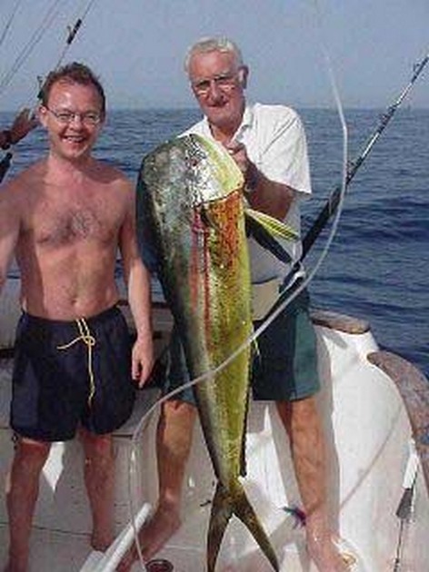 dorado Cavalier & Blue Marlin Sport Fishing Gran Canaria