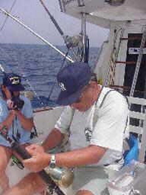 hooked up Cavalier & Blue Marlin Sport Fishing Gran Canaria
