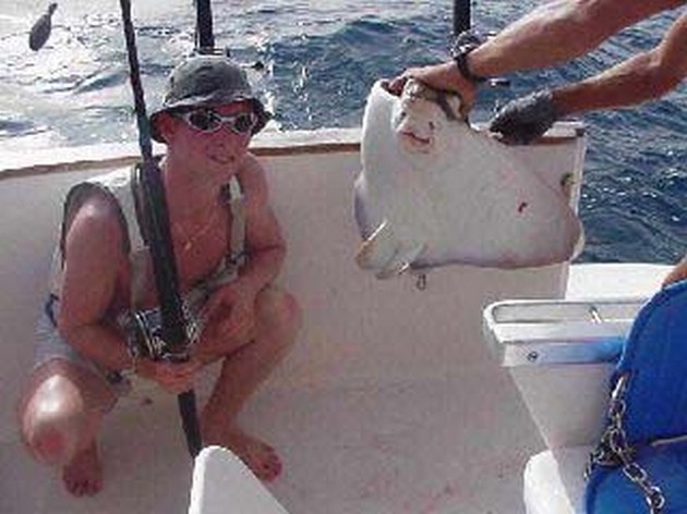 eagle ray Cavalier & Blue Marlin Sport Fishing Gran Canaria