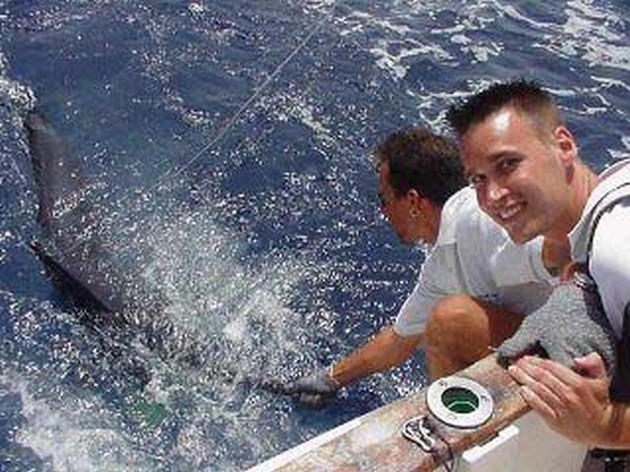 blue marlin Cavalier & Blue Marlin Sport Fishing Gran Canaria