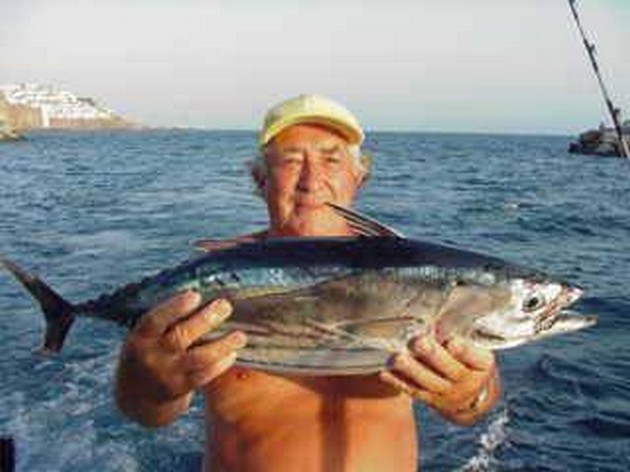 skipjack tuna Cavalier & Blue Marlin Sport Fishing Gran Canaria