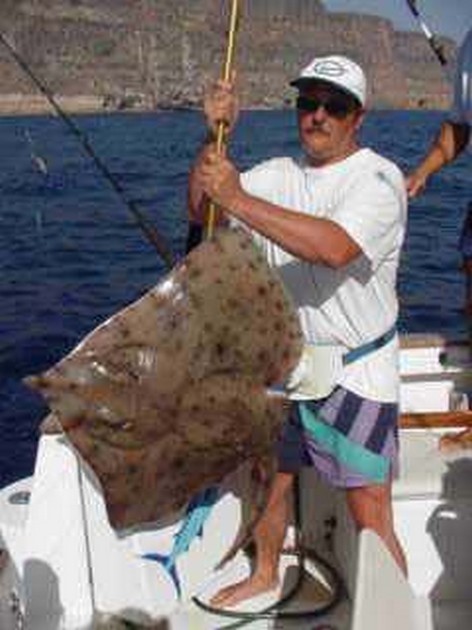 blonde ray Cavalier & Blue Marlin Sport Fishing Gran Canaria