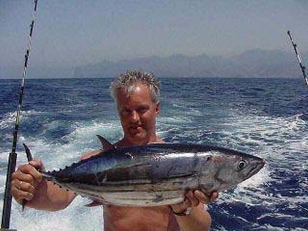 skipjack tuna Cavalier & Blue Marlin Sport Fishing Gran Canaria