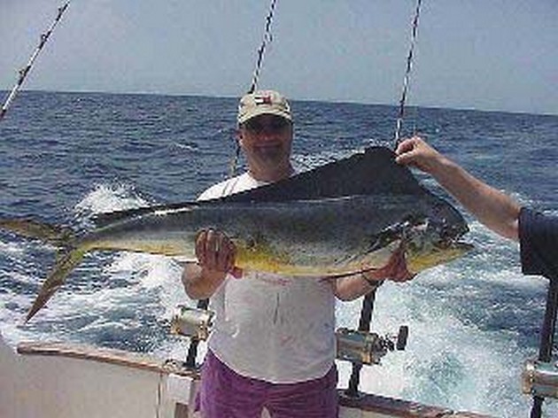 dorado Cavalier & Blue Marlin Sport Fishing Gran Canaria