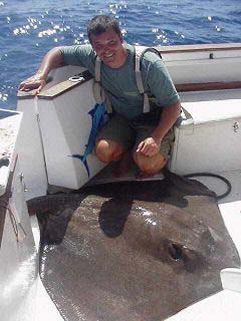 common stingray Cavalier & Blue Marlin Sport Fishing Gran Canaria