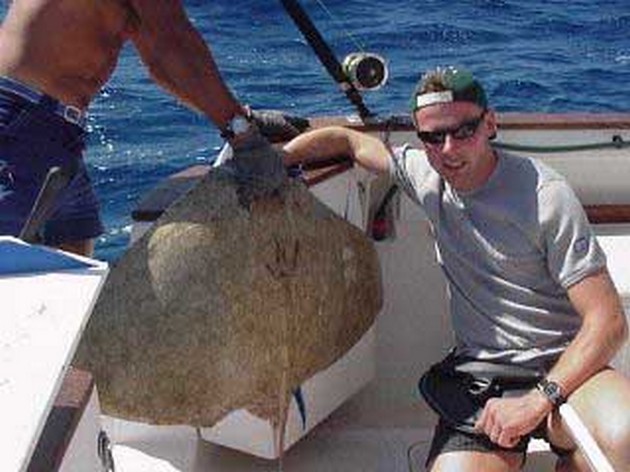 butterfly ray Cavalier & Blue Marlin Sport Fishing Gran Canaria