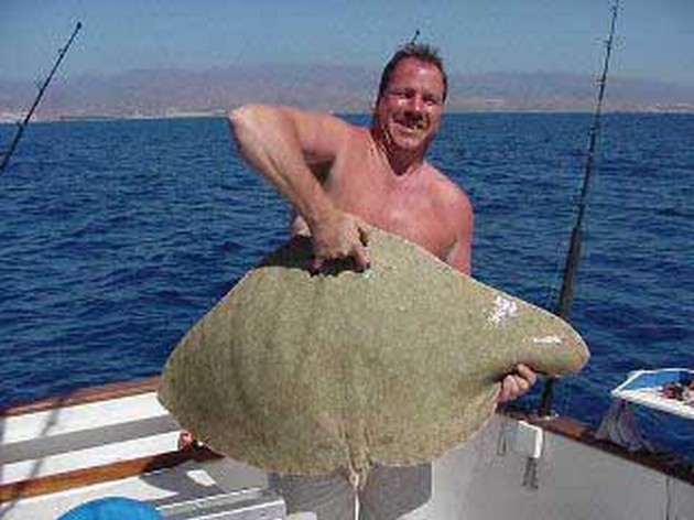 butterfly ray Cavalier & Blue Marlin Sport Fishing Gran Canaria