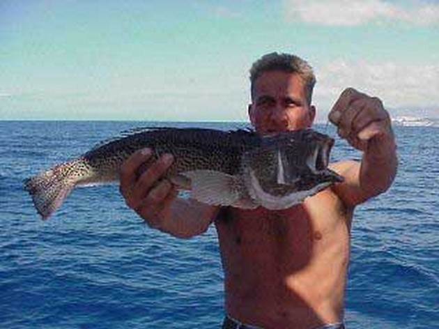 steaked weever Cavalier & Blue Marlin Sport Fishing Gran Canaria