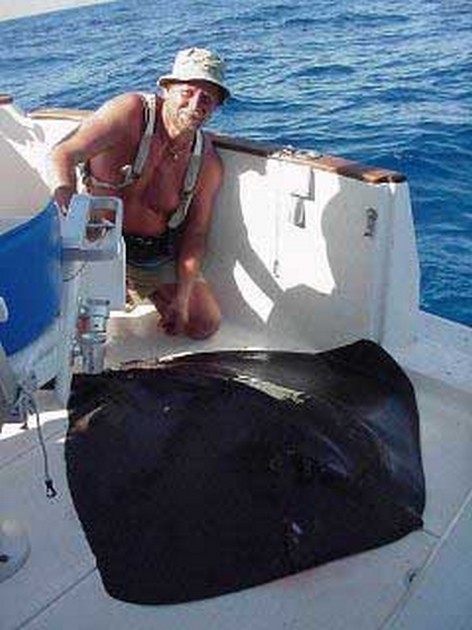 common stingray Cavalier & Blue Marlin Sport Fishing Gran Canaria