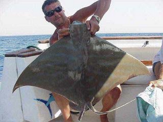 duckbill ray Cavalier & Blue Marlin Sport Fishing Gran Canaria