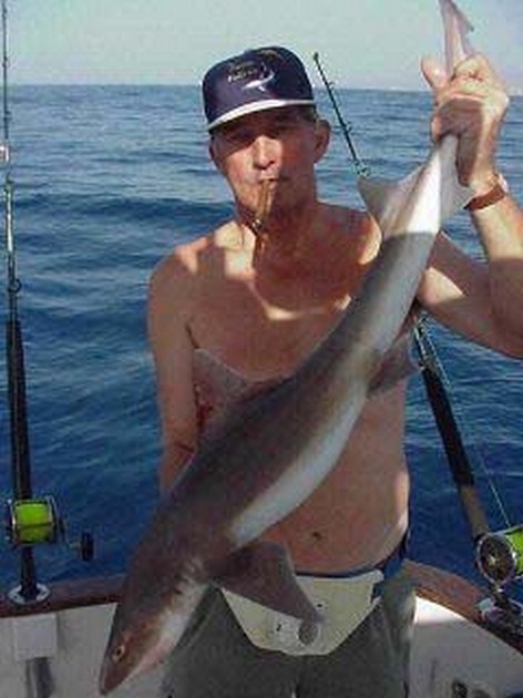 smooth hound Cavalier & Blue Marlin Sport Fishing Gran Canaria