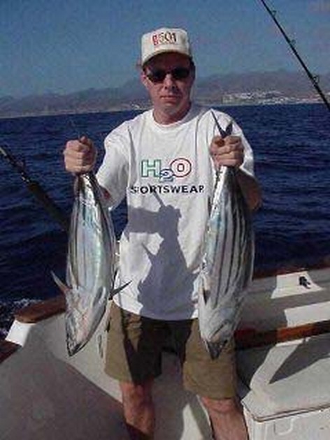 skipjack tuna Cavalier & Blue Marlin Sport Fishing Gran Canaria