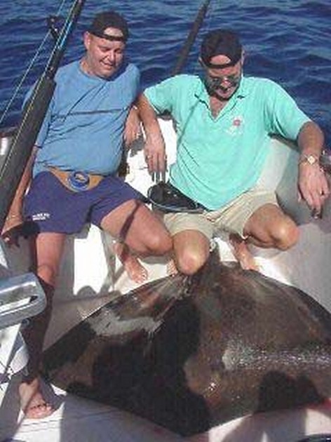 common stingray Cavalier & Blue Marlin Sport Fishing Gran Canaria
