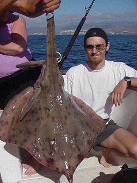 thornback ray Cavalier & Blue Marlin Sport Fishing Gran Canaria