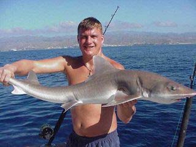 smooth hound Cavalier & Blue Marlin Sport Fishing Gran Canaria