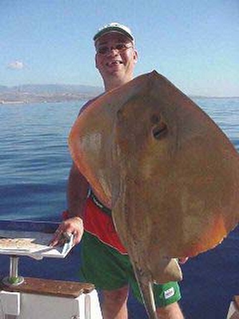 common stingray Cavalier & Blue Marlin Sport Fishing Gran Canaria