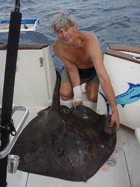 roughtail stingray Cavalier & Blue Marlin Sport Fishing Gran Canaria