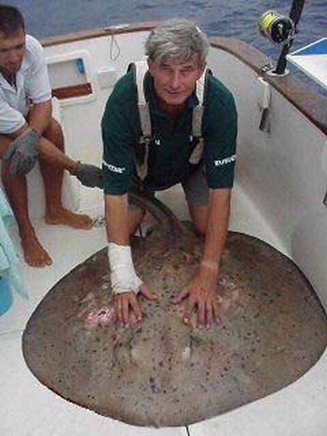 round stingray Cavalier & Blue Marlin Sport Fishing Gran Canaria