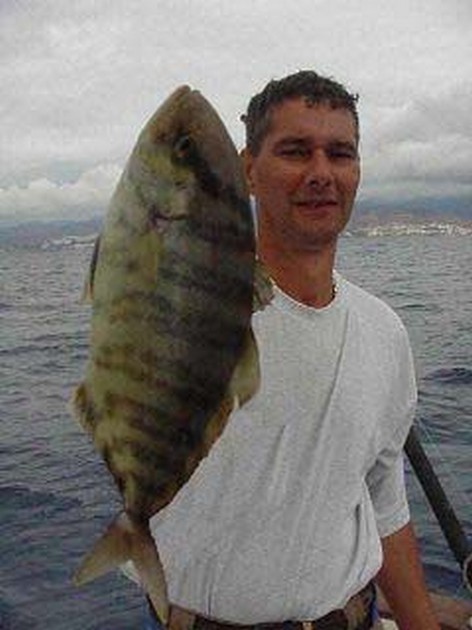 pilotfish Cavalier & Blue Marlin Sport Fishing Gran Canaria