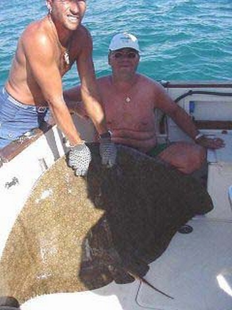 butterfly ray Cavalier & Blue Marlin Sport Fishing Gran Canaria