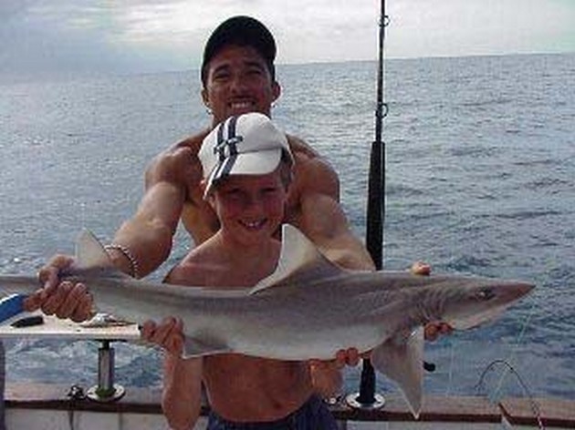 smooth hound Cavalier & Blue Marlin Sport Fishing Gran Canaria